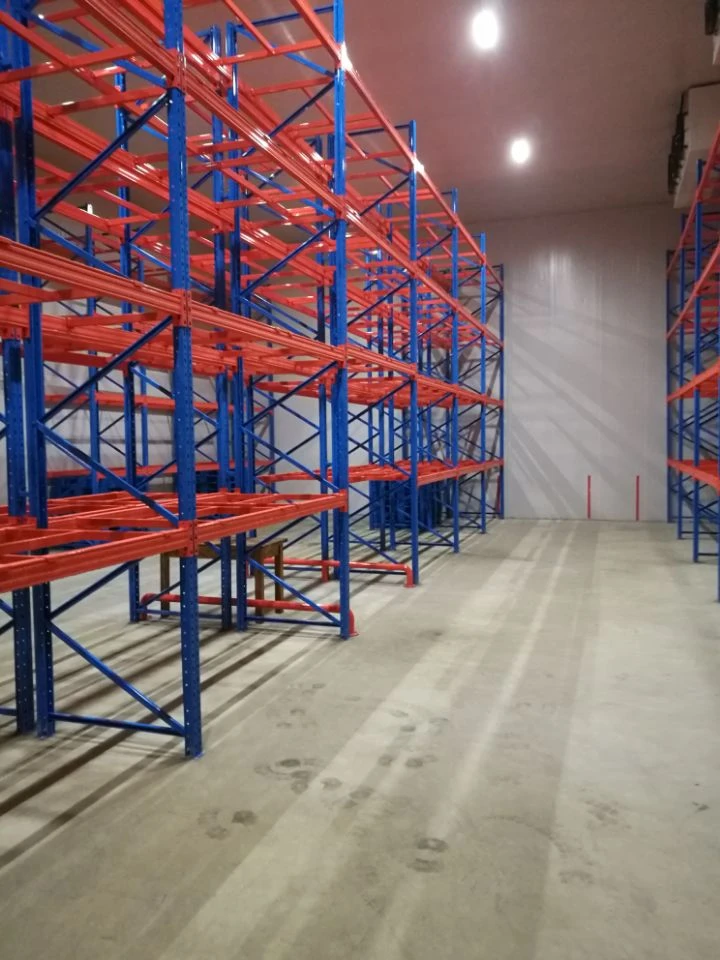 drive in pallet rack system inside cold storage warehouse